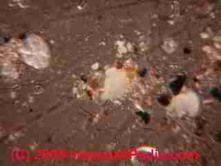 Paint lab Photograph of sample of failed paint